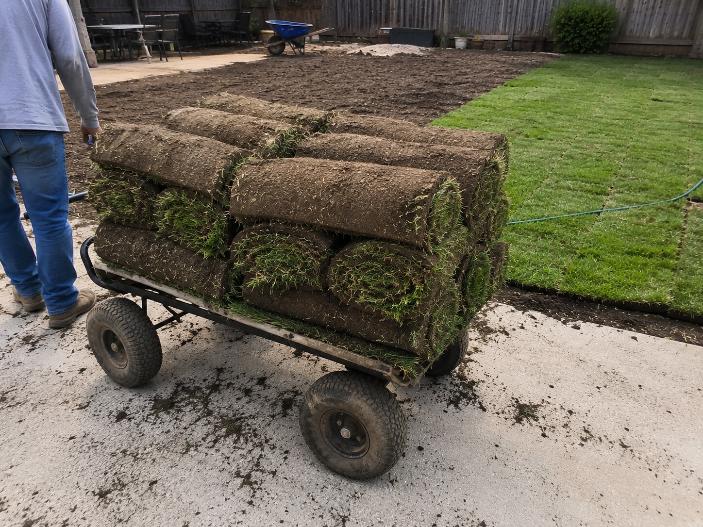 Fresh green lawn beside a prepared yard in Arlington